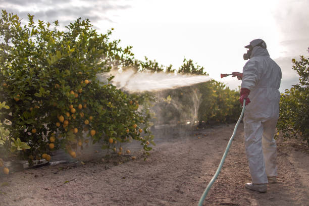 Best Pest Control Near Me in Trenton, MO