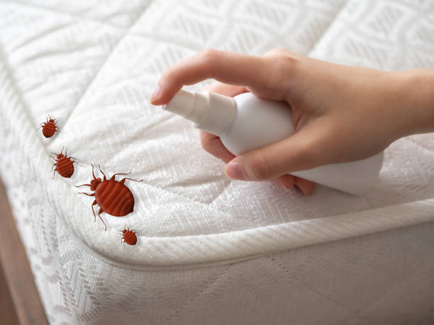 Best Mosquito Control Services  in Trenton, MO