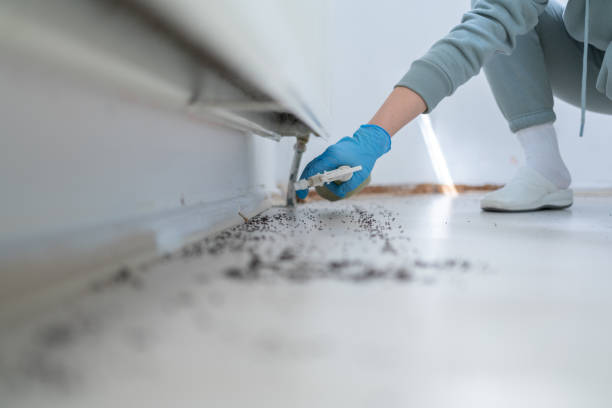 Best Insect Control  in Trenton, MO